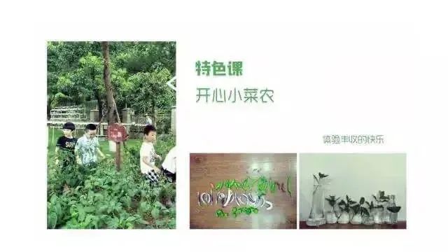 温州市妇女儿童活动中心 2021年暑期素质训练营(日托班)招生通告(最新发布)