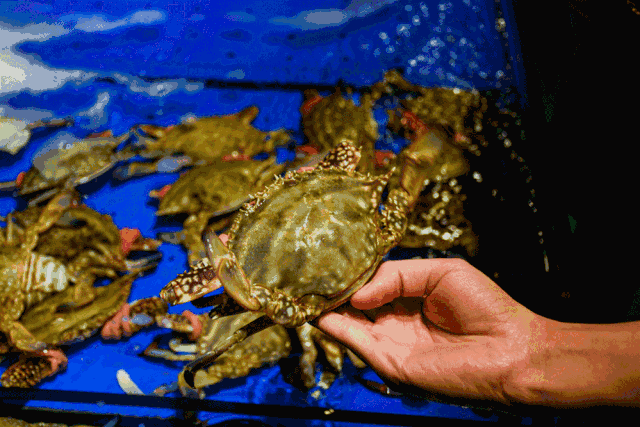 5月1日起，福建将全面禁止！（最新发布）