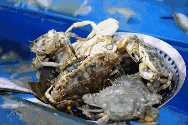 5月1日起，福建将全面禁止！（最新发布）