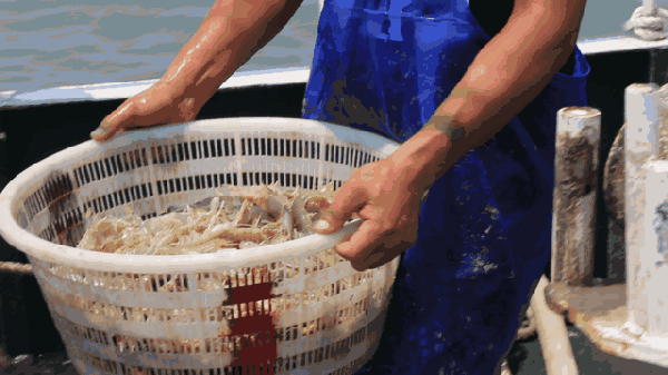 5月1日起，福建将全面禁止！（最新发布）