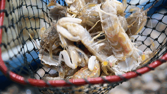 5月1日起，福建将全面禁止！（最新发布）