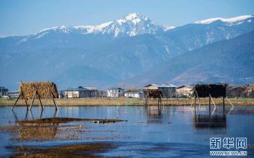 飙升！马上大反转，福建人准备接招！（最新发布）