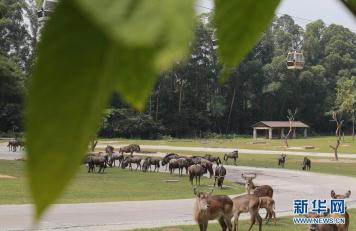 飙升！马上大反转，福建人准备接招！（最新发布）