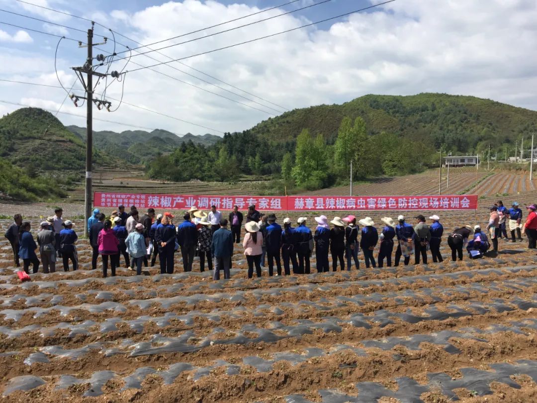 "驻村底气是干出来的" | 全省脱贫攻坚先进个人石杰