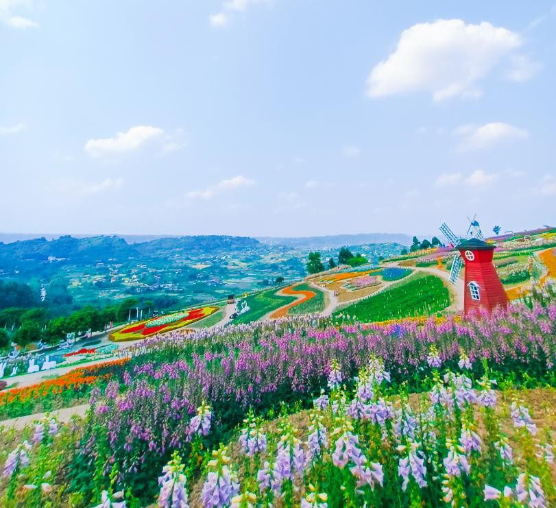 五一节,彩山景区的活动也超级丰富 风筝旅游节,动漫文化节 浪漫烟火秀