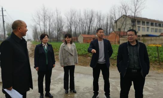 蚌埠市美丽庭院创建她力量61乡镇篇怀远县淝河镇巾