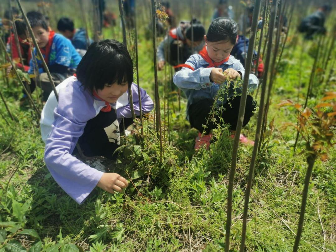 冉庙乡妇联组织张桥村家长学校开展五一系列劳动教育实践活动