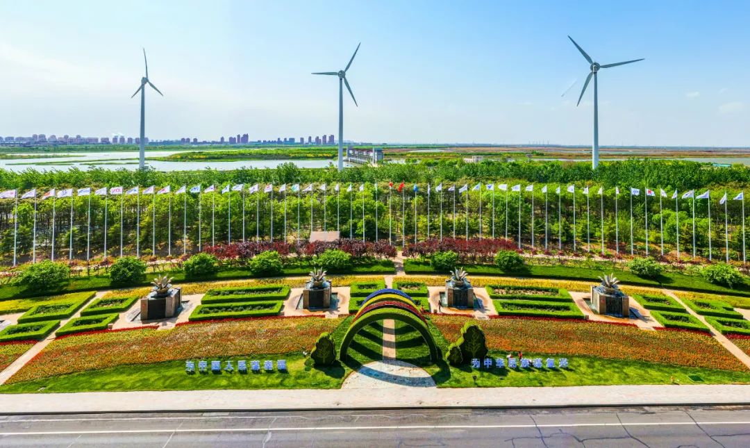 解放桥开启盛况！天津第二剂疫苗来了！印度确诊日超40万！（最新发布）