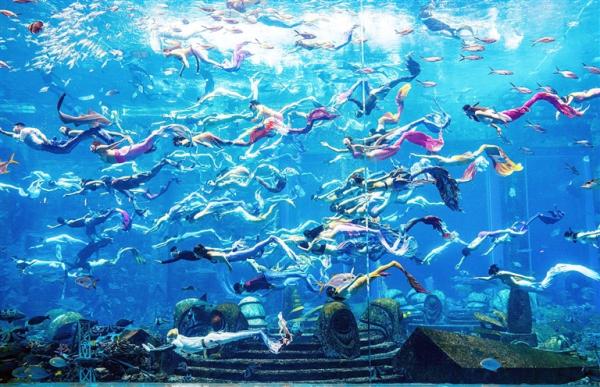 亚特兰蒂斯成功挑战"最大规模的水下人鱼秀 吉尼斯世界纪录称号 4月