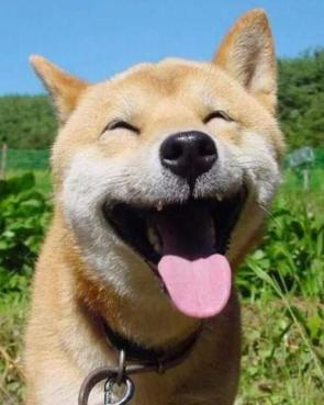 降雨降温+大风！天津蓝天886~（最新发布）