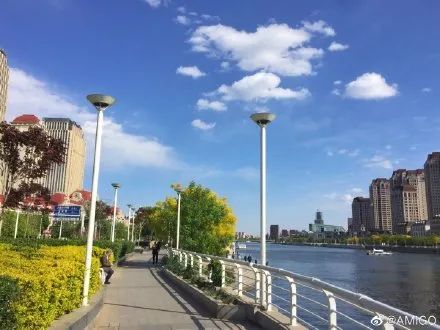 降雨降温+大风！天津蓝天886~（最新发布）