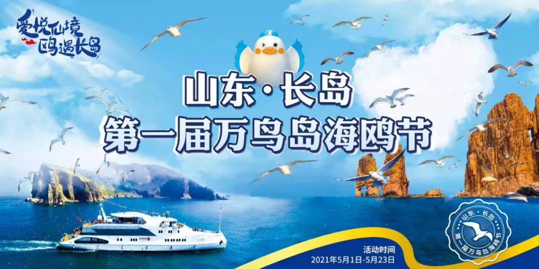 "海上游仙境"～2021年长岛万鸟岛海鸥节开幕 !