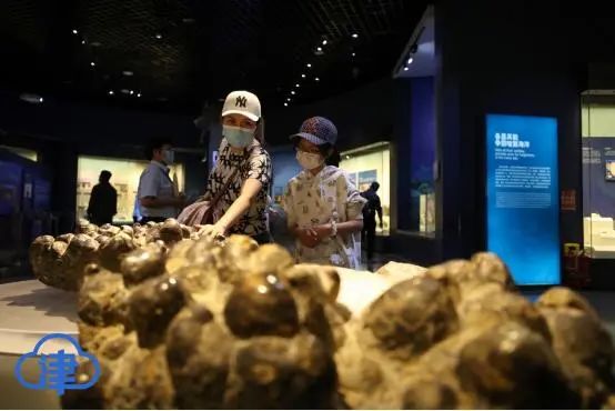 来这些地方，体验一次近乎完美的假期天津之行→（最新发布）