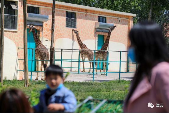 来这些地方，体验一次近乎完美的假期天津之行→（最新发布）