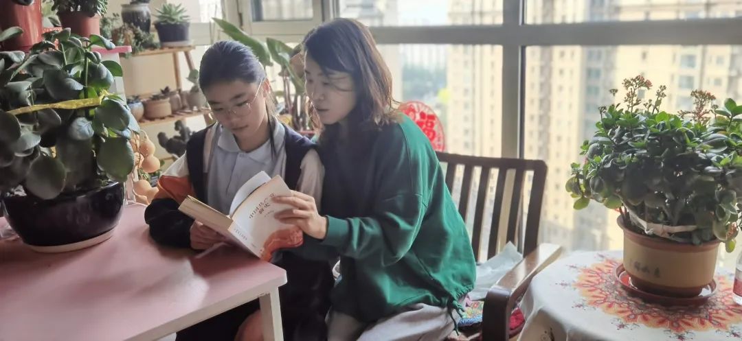 天津市武清区:“新姐”都安排好了!(最新发布)