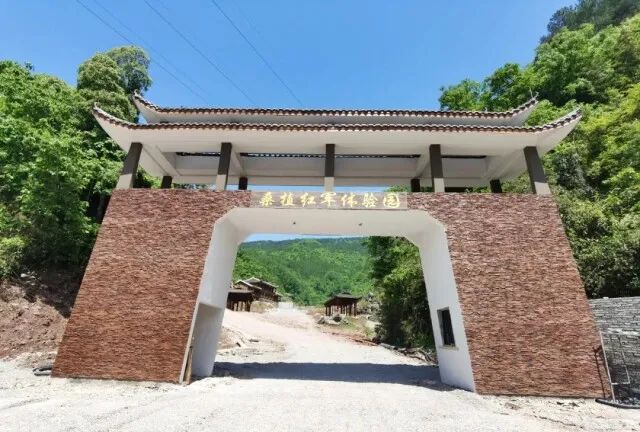 52旅游接待情况今晚暴雨来袭桑植红军体验园开园更多
