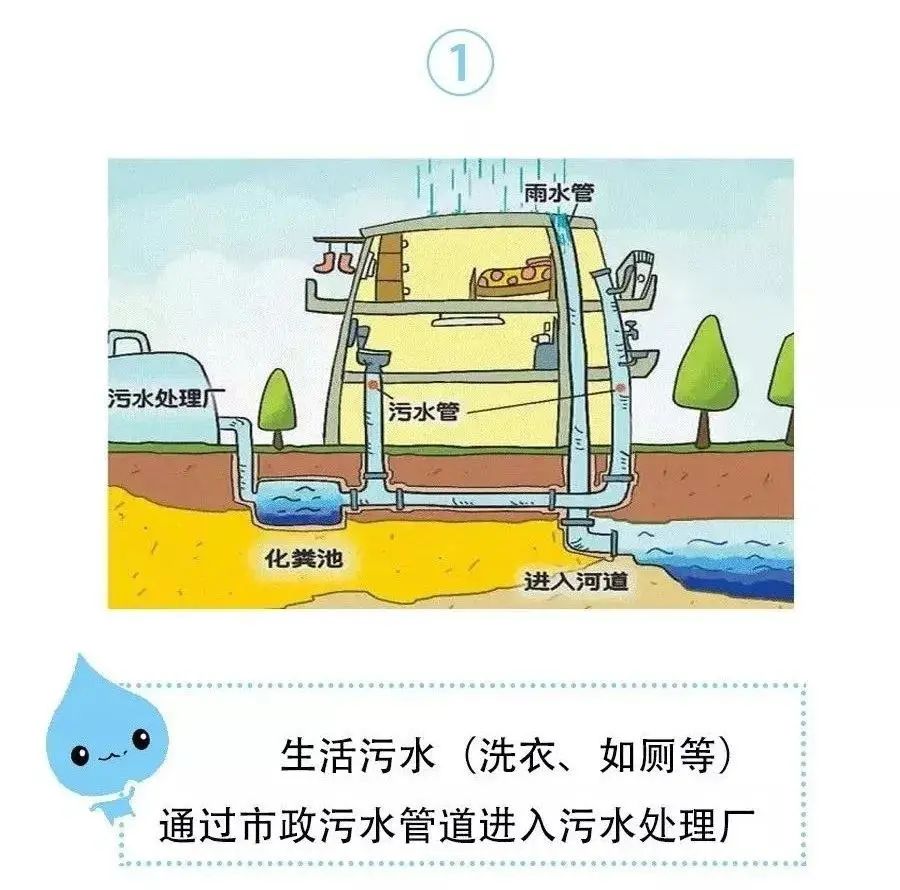 环保科普丨"雨污分流,你听说过吗?