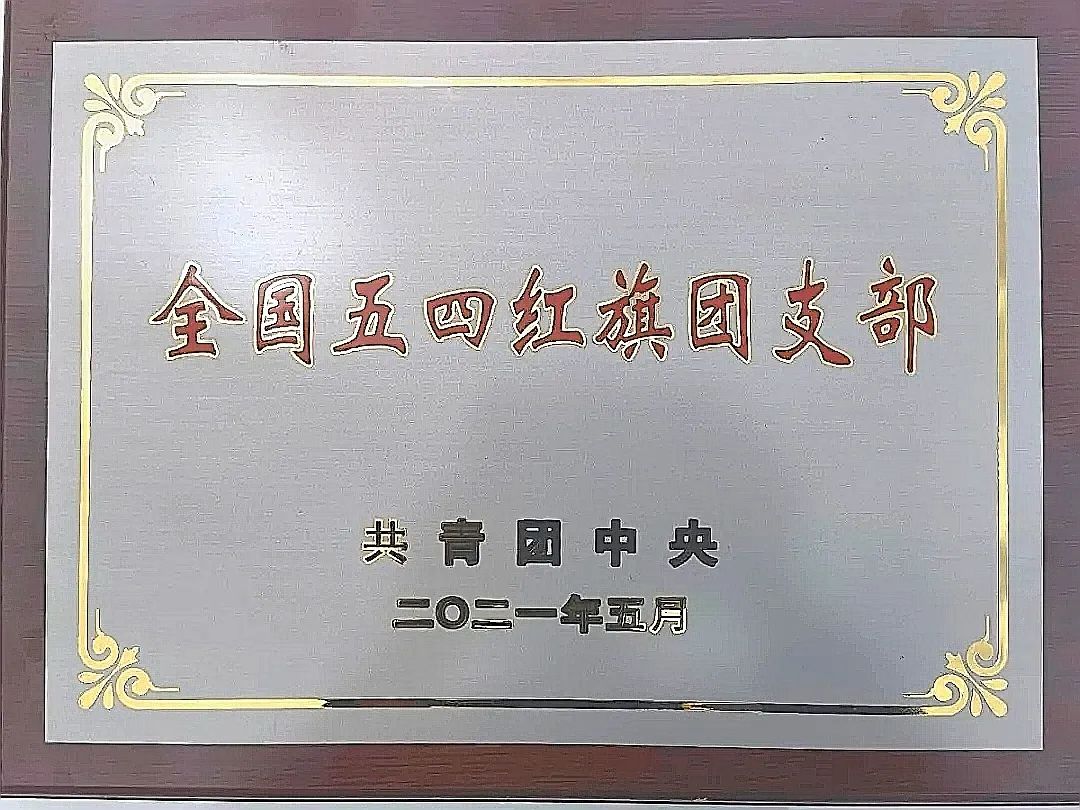 全国五四红旗团支部!这项荣誉属于奋斗不止的他们
