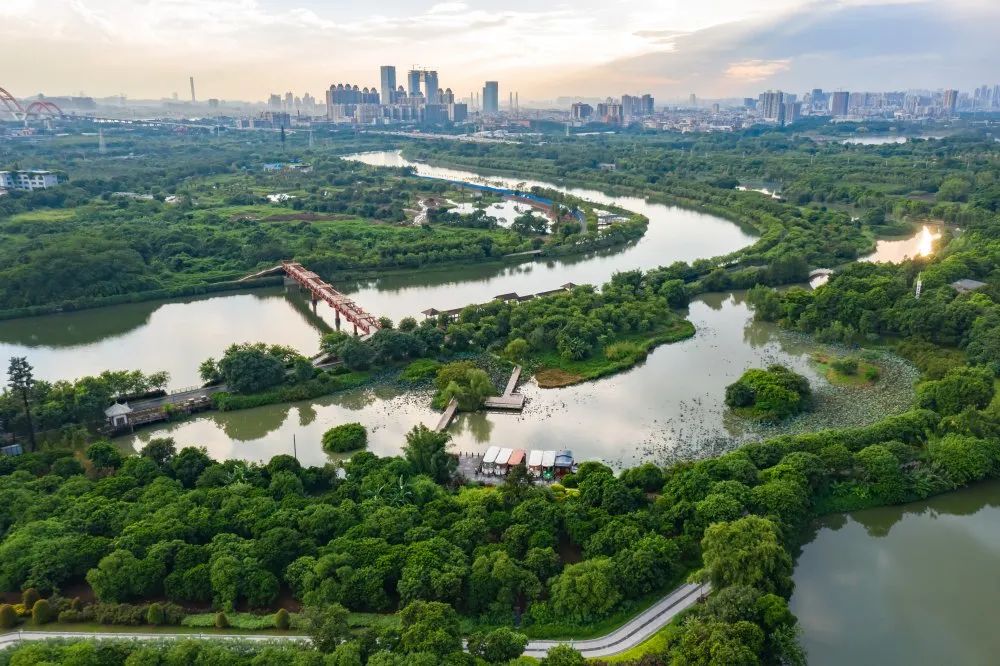 靓爆镜海珠湿地这四个地方景美又好玩今天就出发