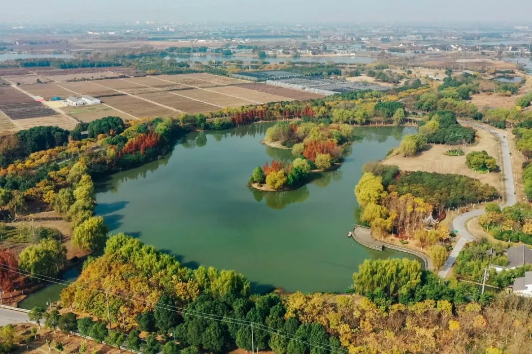无锡这么多宝藏湿地公园快来打卡