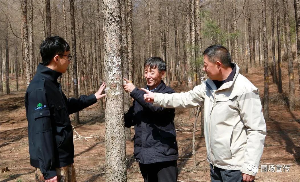 情注青山人不老记全国五一劳动奖章获得者河北木兰林场龙头山林木良种