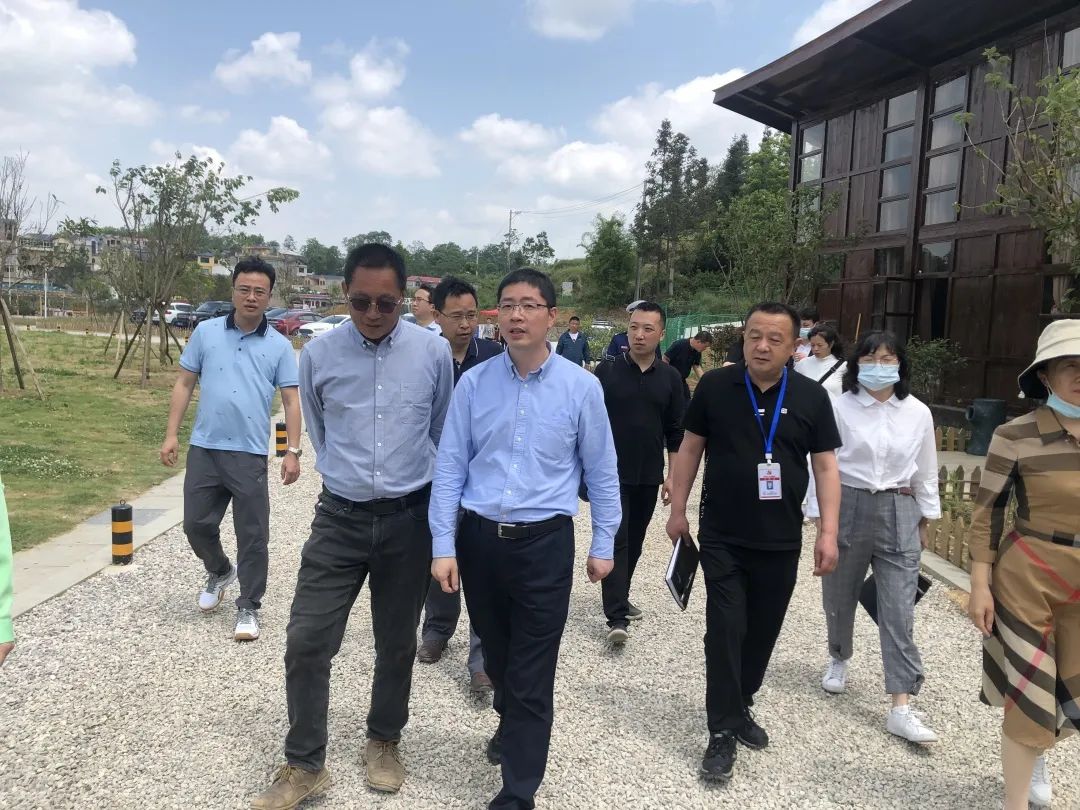 徐杰带队检查"五一"期间文化旅游安全,调研重大项目建设,督查乡村卫生