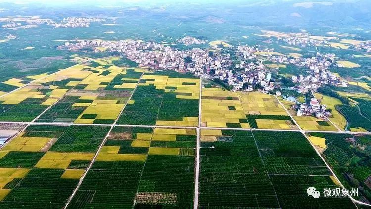 象州百丈乡村建设出实招描绘宜居宜业新画卷