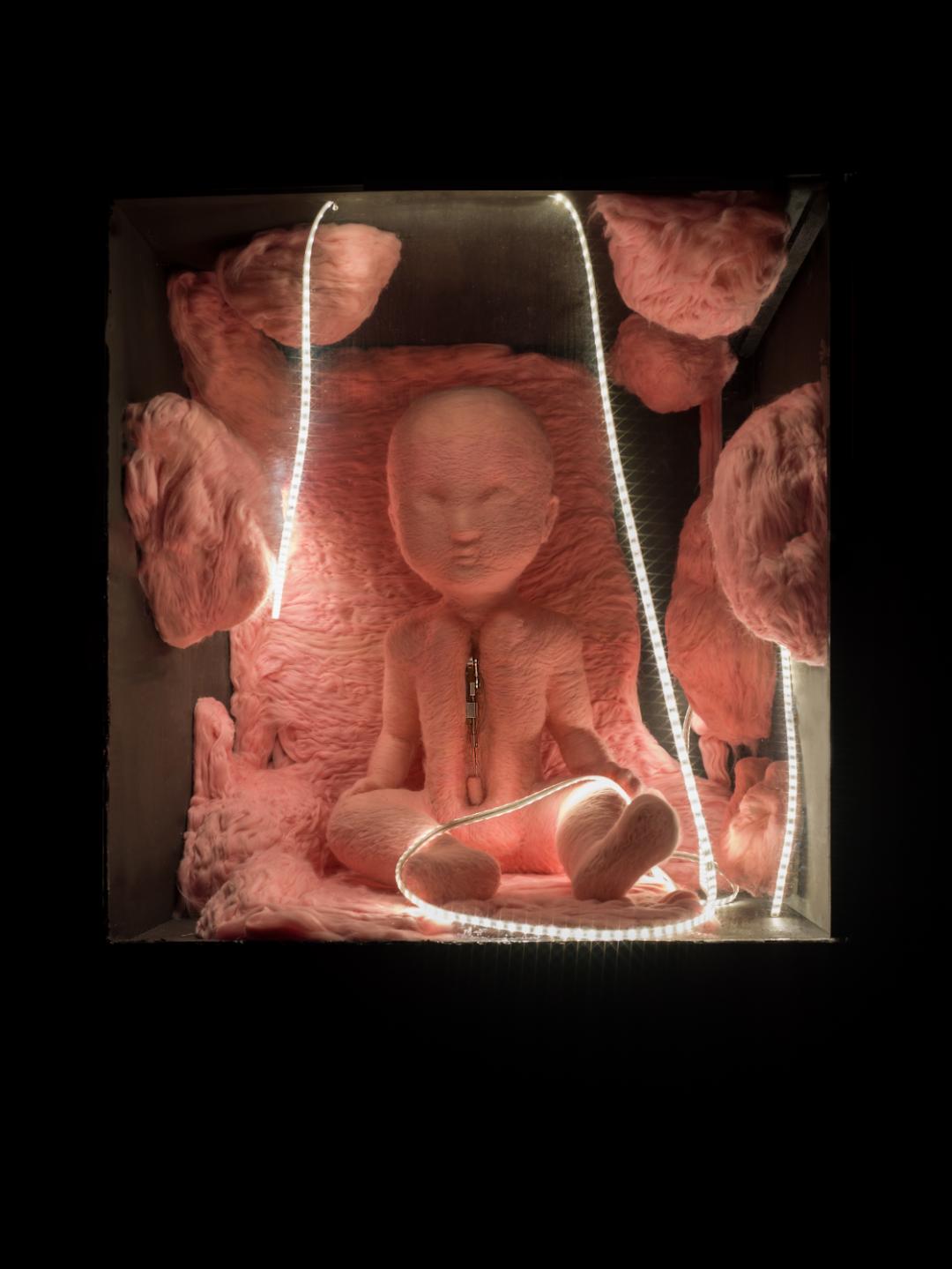用粉红色羊毛戳出乳房,子宫,美而暴力