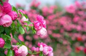 母亲节只要送了“它”，妈妈秒变朋友圈女王！（最新发布）