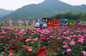 母亲节只要送了“它”，妈妈秒变朋友圈女王！（最新发布）