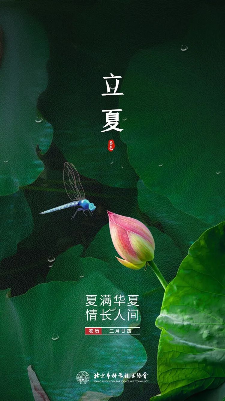 《立夏诗画》,吴藕汀你心中是否还在惦念落花的日子可没过去多久