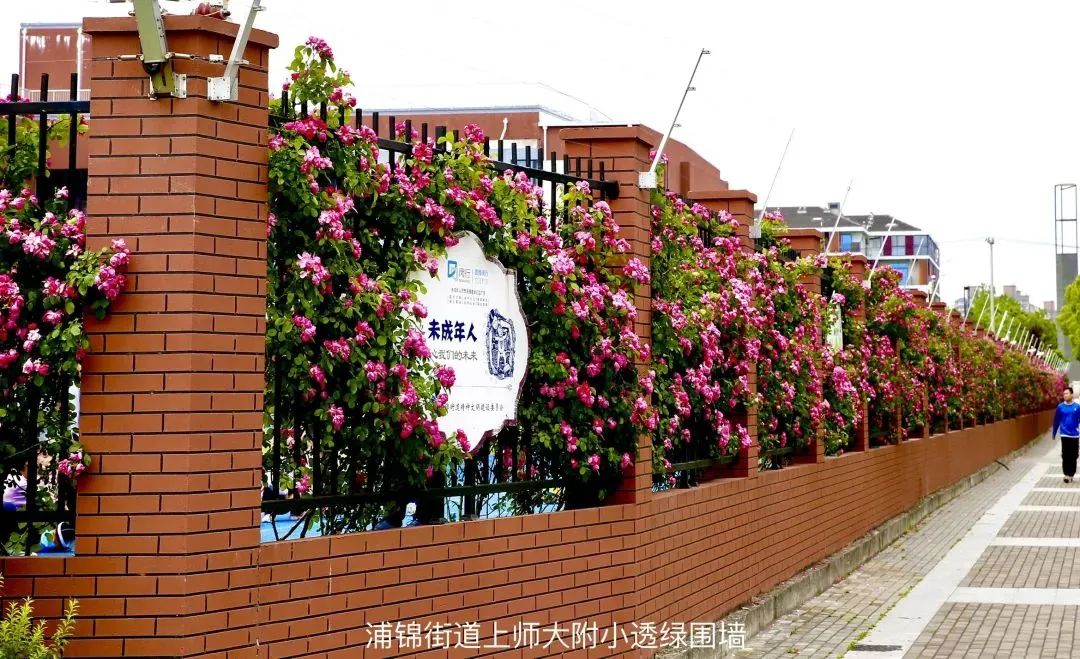 这个区政协的建议,让围墙换上了美丽的"花衣裳"