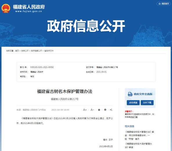 福建动真格！6月起施行！最高罚2万元！（最新发布）