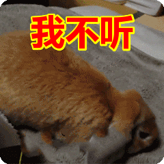 注意,本周上班有变!福建这8名同学上了人民日报,厦门有3名~(最新发布)