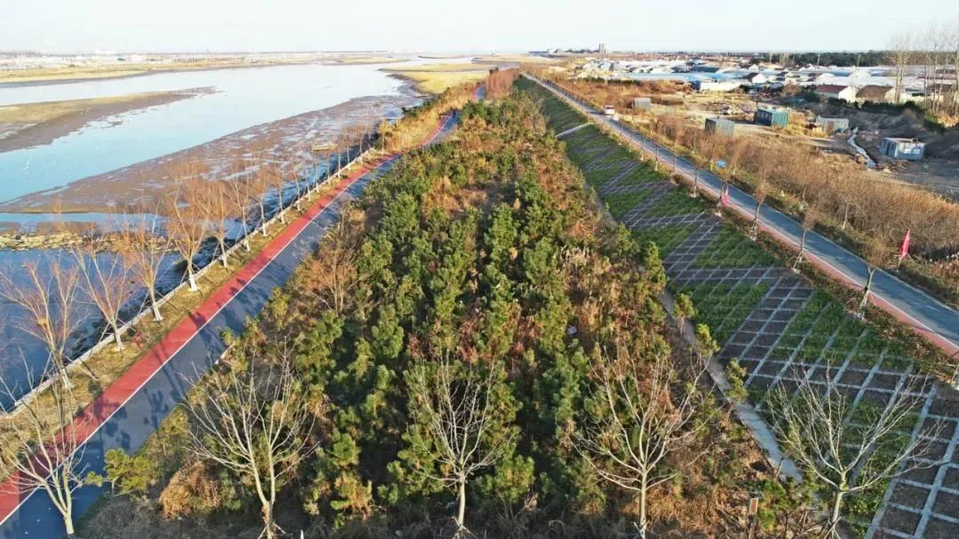 日照市区东北部文化底蕴丰厚两城,凤凰城,苏家村,双庙,安家岭等多处