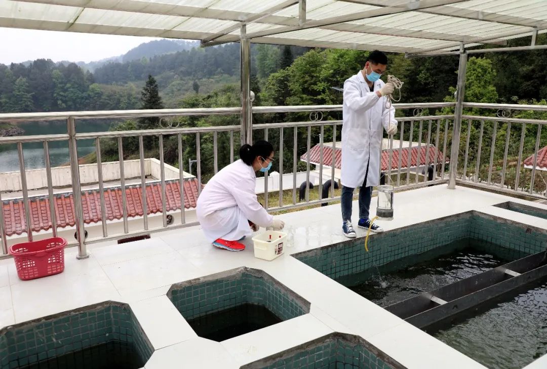 从自来水到幸福水渝北农村供水这样做