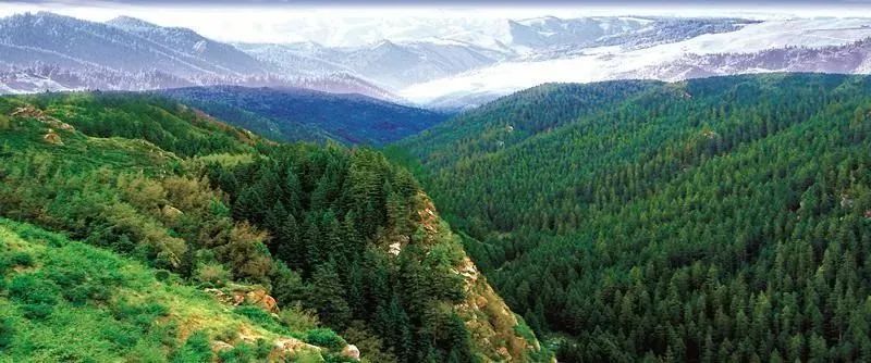 甘肃这8个初夏清凉圣地!承包你的夏天!走起!(最新发布)