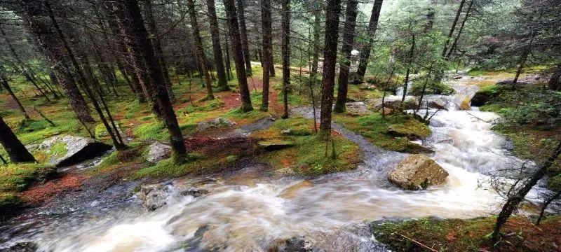 甘肃这8个初夏清凉圣地!承包你的夏天!走起!(最新发布)