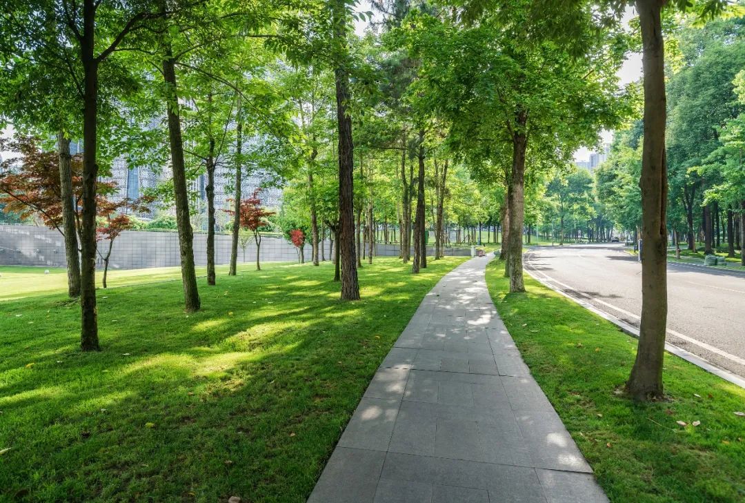 县城将有大变化！河北最新实施方案来了（最新发布）