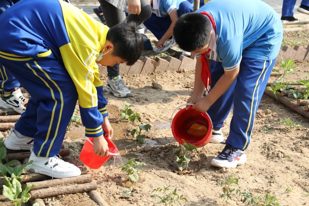 开发区思源实验学校举行义圃园劳动教育实践基地揭牌仪式