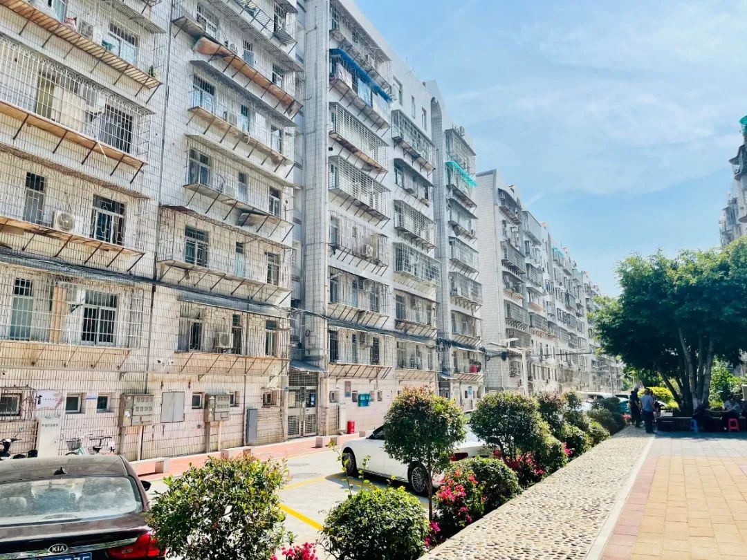 园山小区在园山小区,长乐一期小区等地,林重阳区长仔细询问现场工作