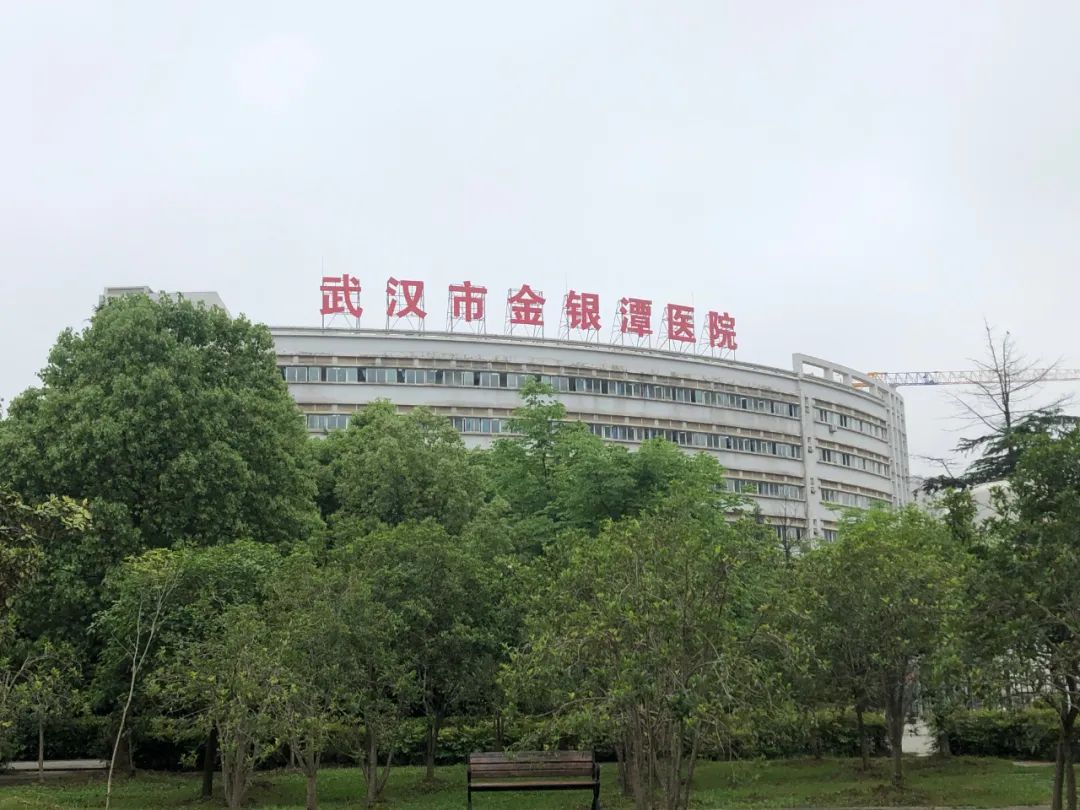 一栋略带弧度的大楼和楼顶的几个大字"武汉市金银潭医院"