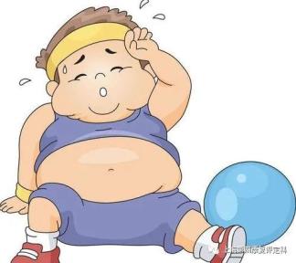 85被定义为中心型肥胖(腹型肥胖). 下期预告各种减肥方法挑花眼?