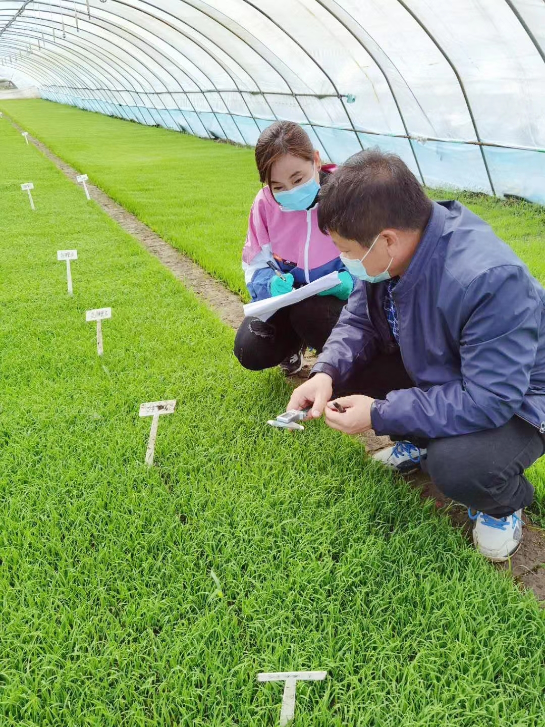 黑龙江佳木斯郊区农业农村现代化推动区域经济高质量发展