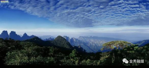 定了522相约金秀圣堂山杜鹃花旅游文化节