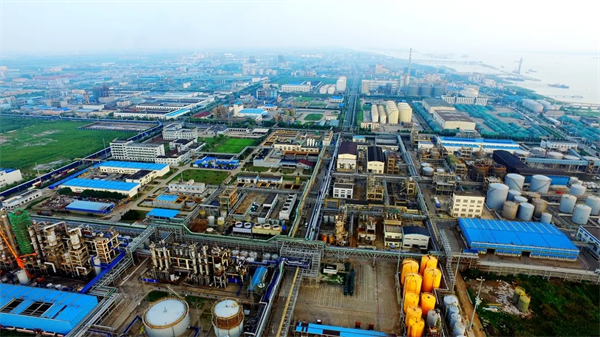 打造日资高地！泰兴经济开发区在上海发出最强音（最新发布）