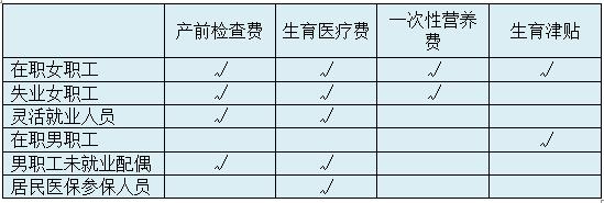 (3)一次性营养费用;(2)生育医疗费用;(1)产前检查费用;徐州市生育保险