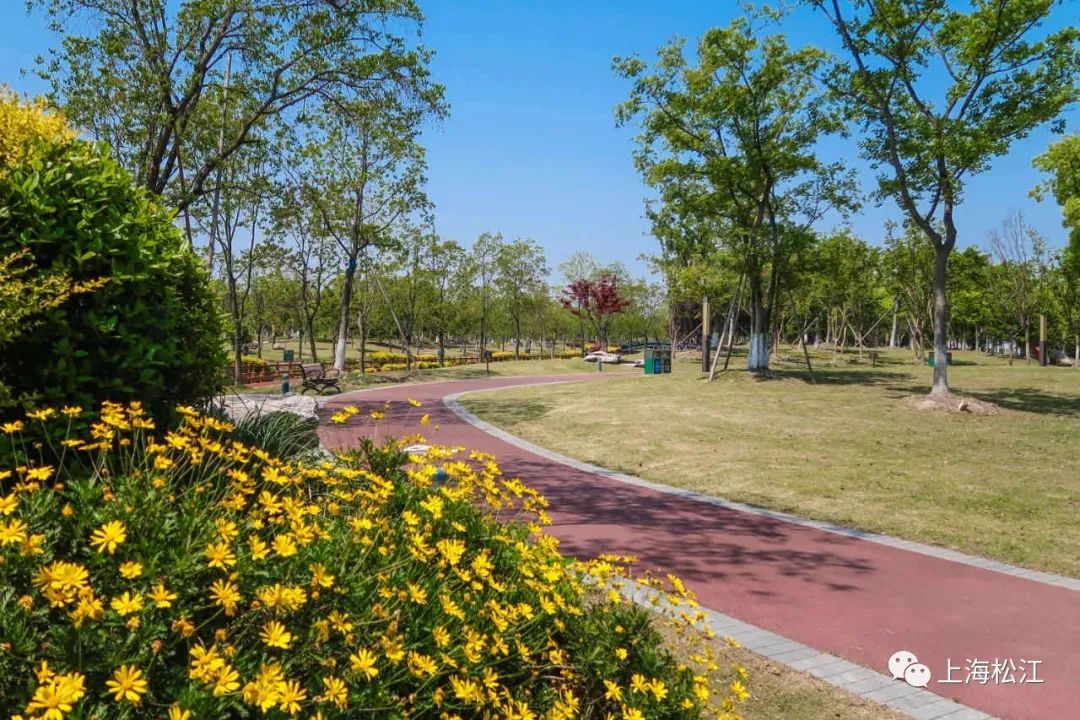免费!松江25座城市公园全天候开放,在你家门口吗?