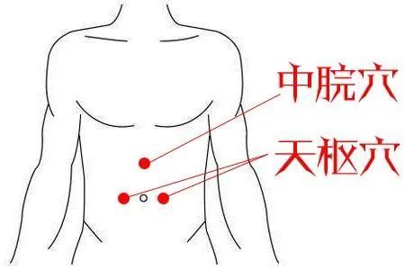 神阙穴位置中脘穴取穴时,可采用仰卧的姿势,该穴位于人体的上腹部,前