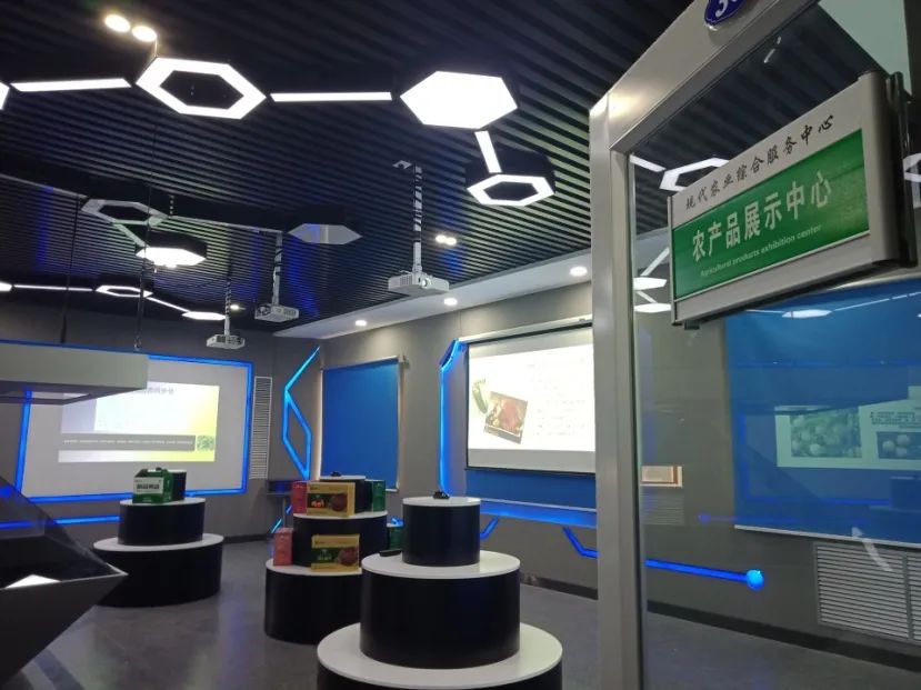 乡村振兴之向“网”的生活|黑龙江积极推动数字乡村建设 着力破解乡村振兴发展难题(最新发布)